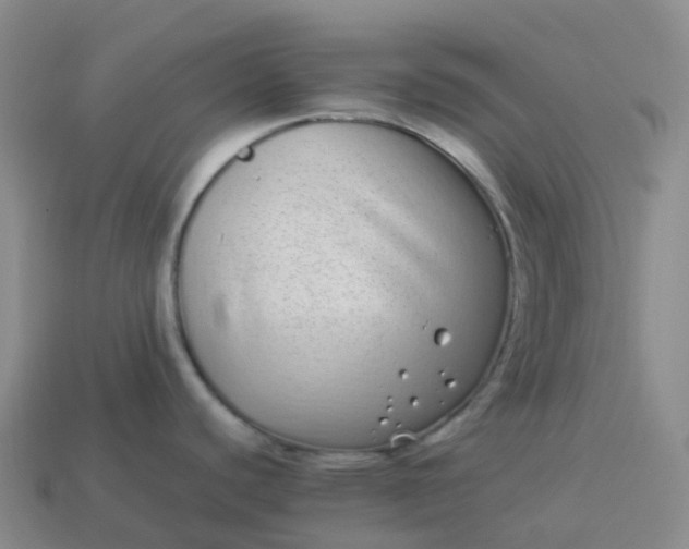 X0000113911440200910081841