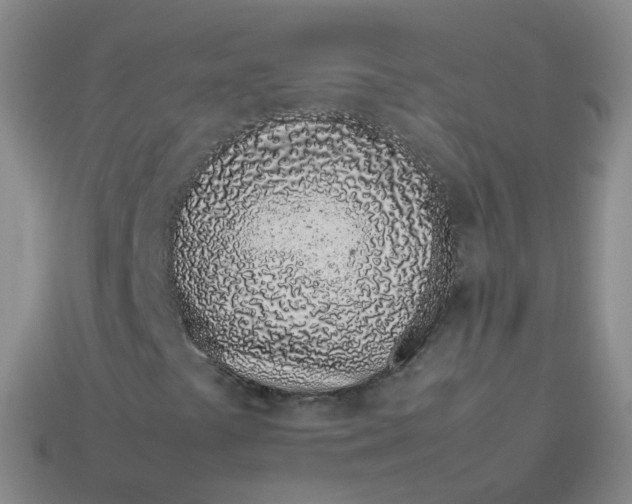 X0000113911441200910081840