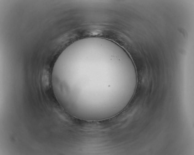 X0000113911442200910081840