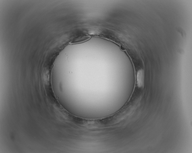 X0000113911443200910081840