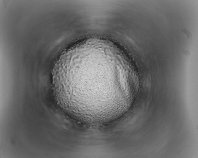 X0000113911445200910081840