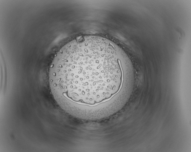 X0000113911446200910081840