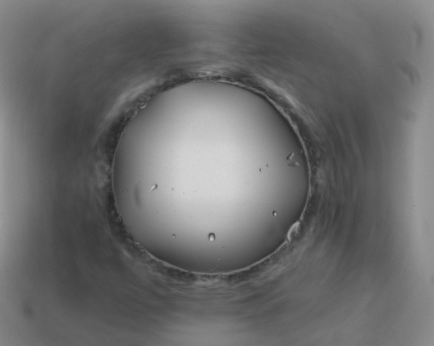 X0000113911447200910081840