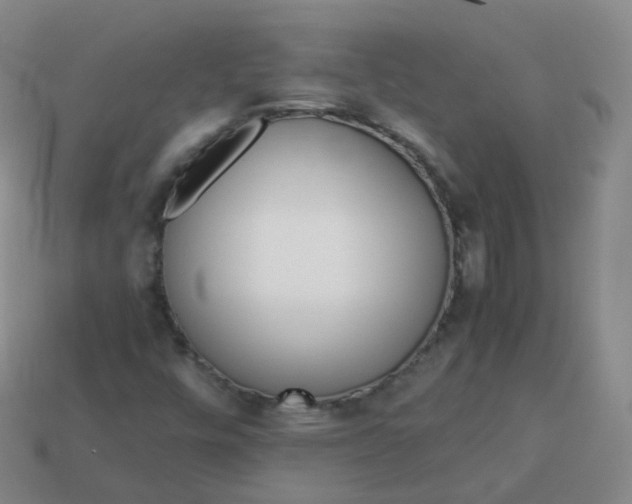 X0000113911448200910081840