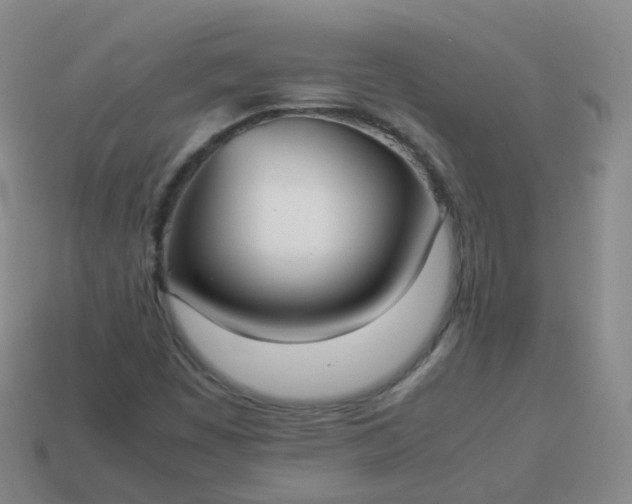 X0000113911449200910081840