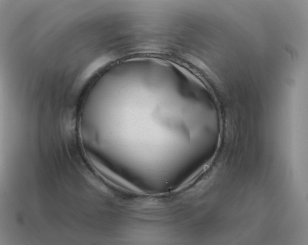 X0000113911450200910081840