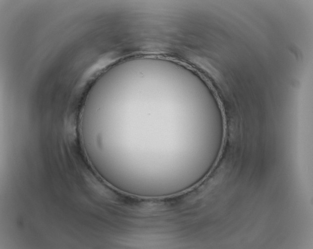 X0000113911451200910081840