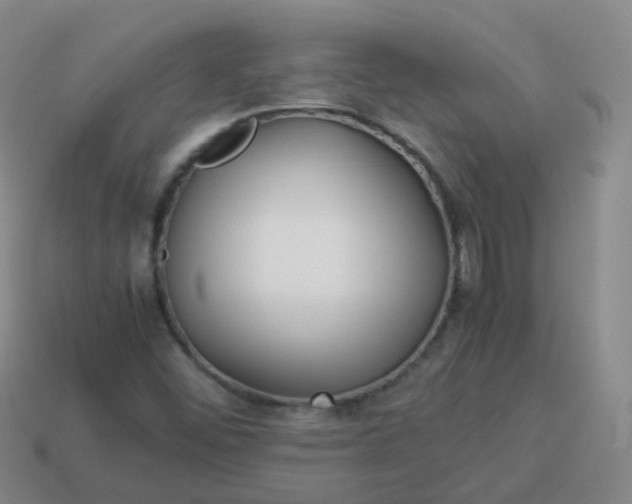 X0000113911452200910081840