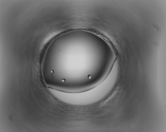 X0000113911453200910081840