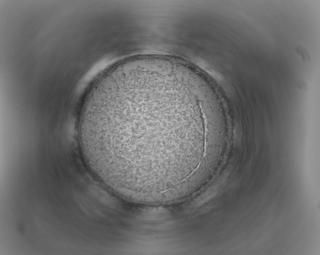 X0000113911454200910081840