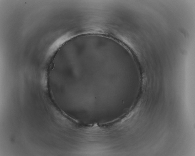 X0000113911455200910081840