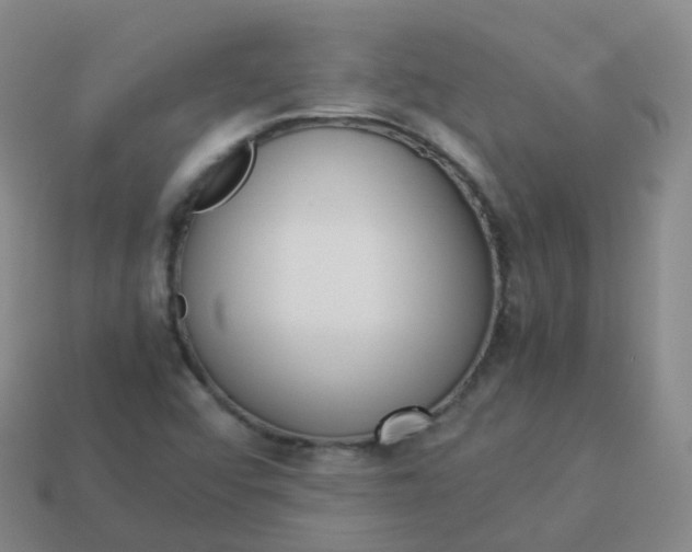 X0000113911456200910081840