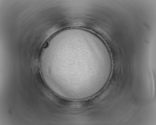 X0000113911457200910081840