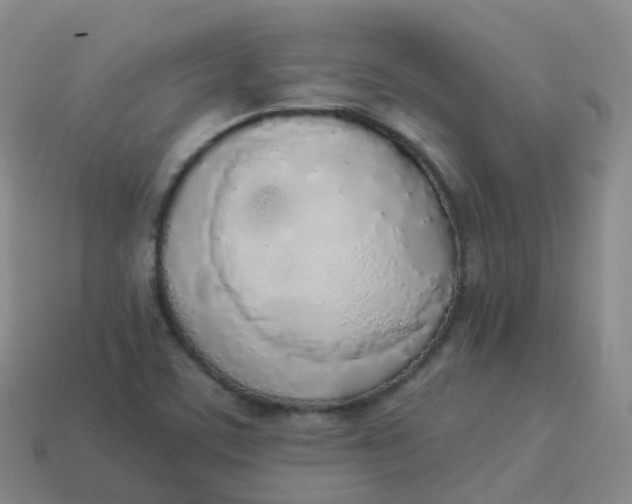 X0000113911459200910081839