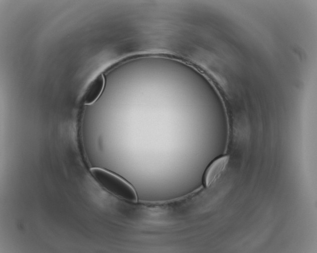 X0000113911460200910081839