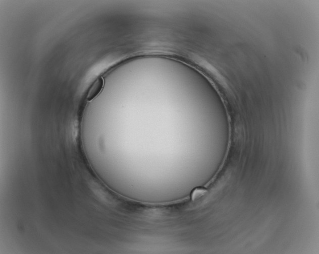 X0000113911461200910081839