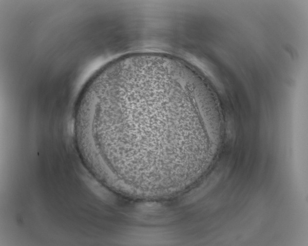 X0000113911462200910081839