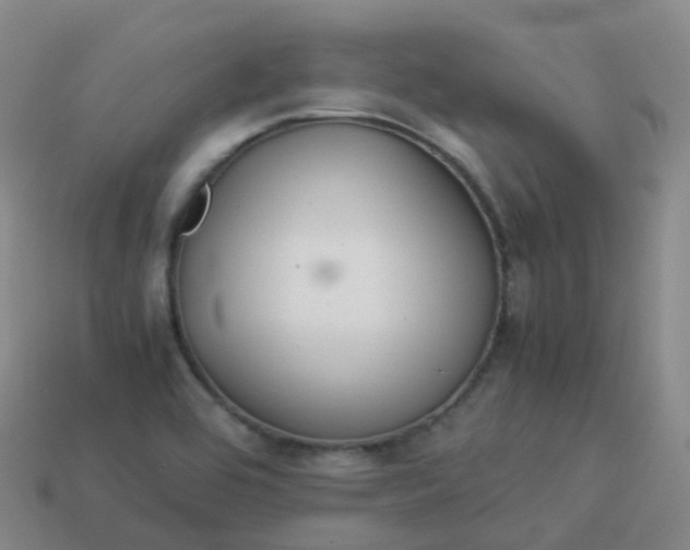 X0000113911464200910081839