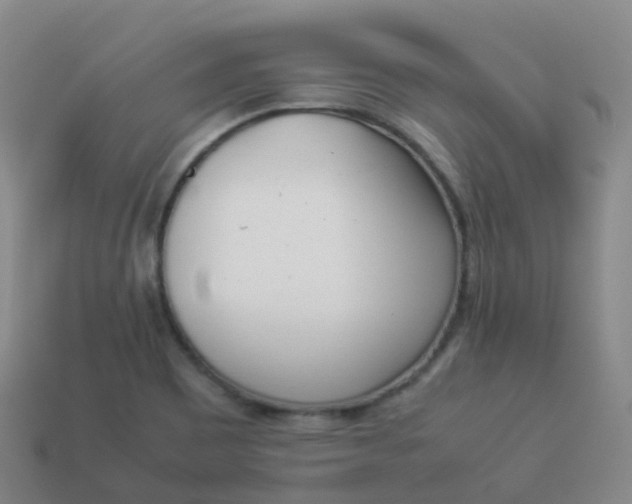 X0000113911465200910081839