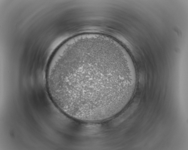 X0000113911466200910081839