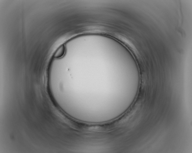 X0000113911467200910081839