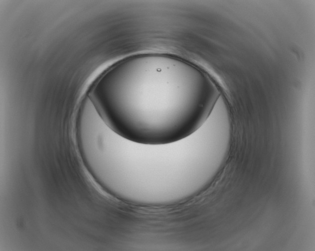 X0000113911468200910081839