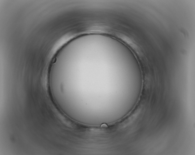 X0000113911469200910081839