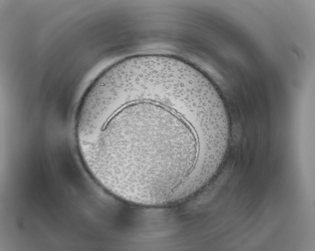 X0000113911470200910081839