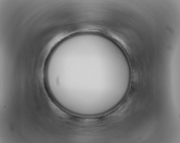 X0000113911471200910081839