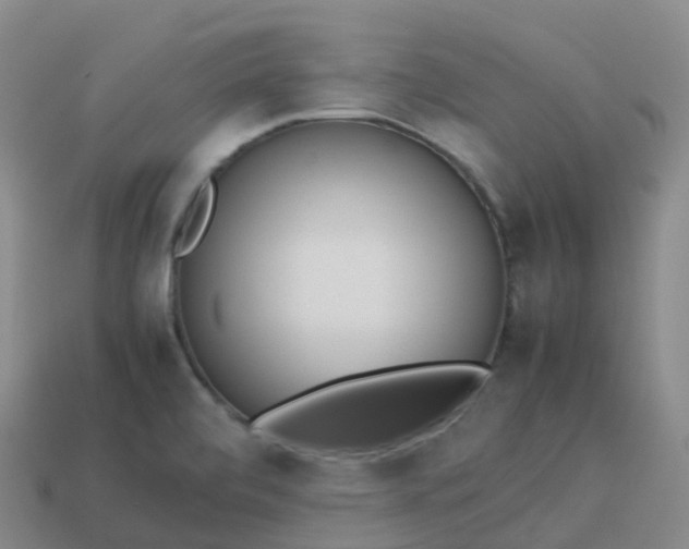 X0000113911472200910081839