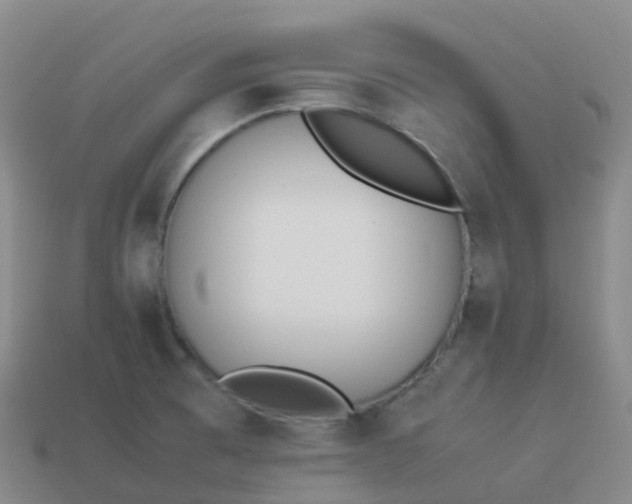 X0000113911473200910081839