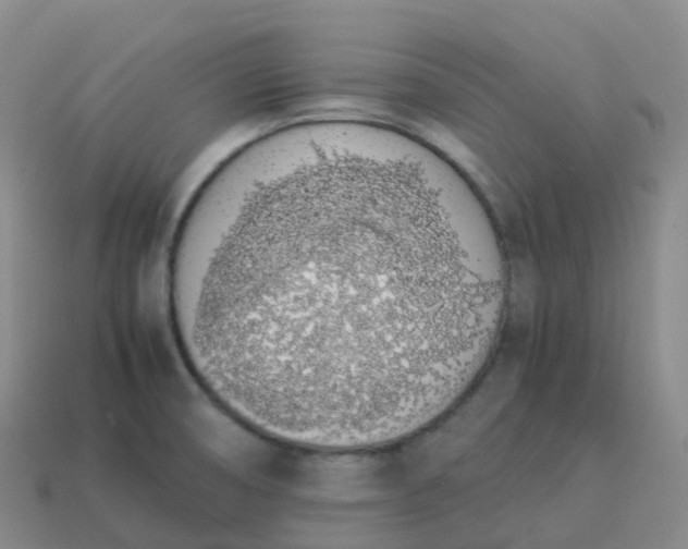 X0000113911474200910081839