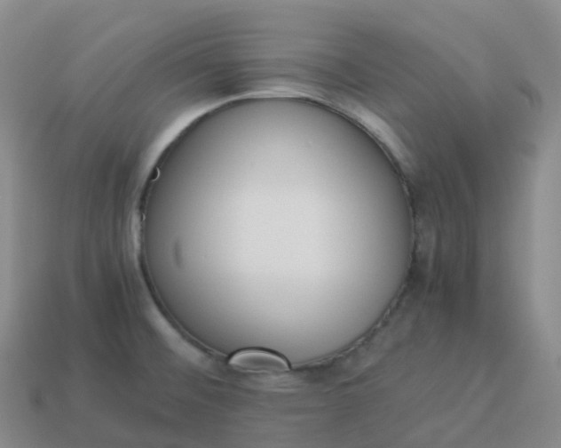 X0000113911476200910081839