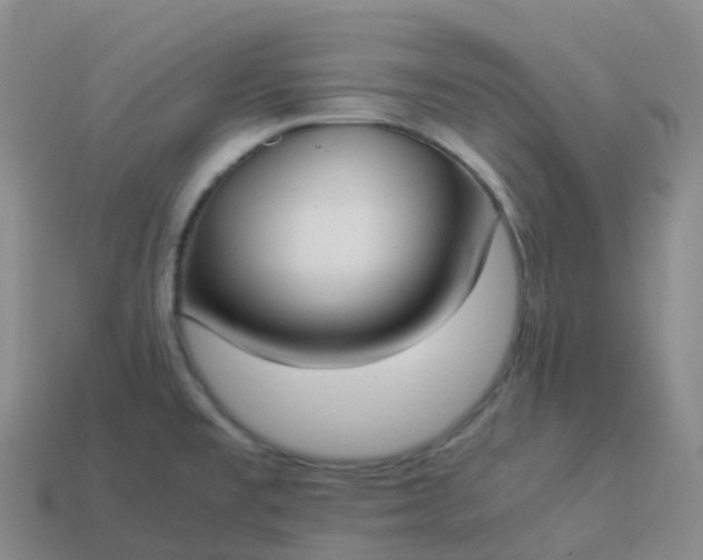 X0000113911477200910081839