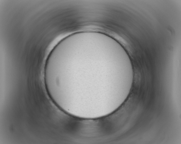 X0000113911478200910081839