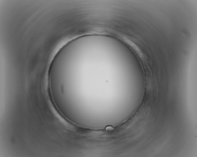 X0000113911479200910081839