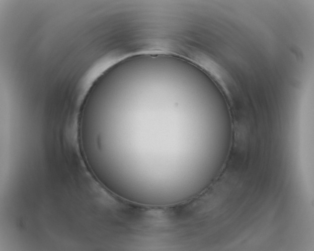 X0000113911480200910081839