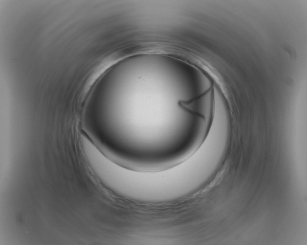 X0000113911481200910081839