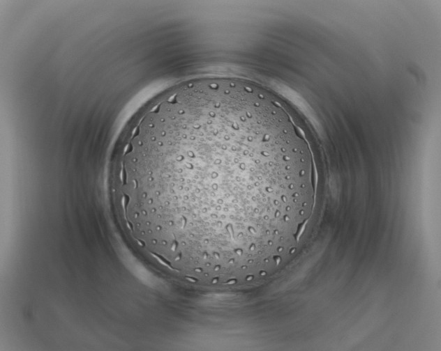 X0000113911482200910081839