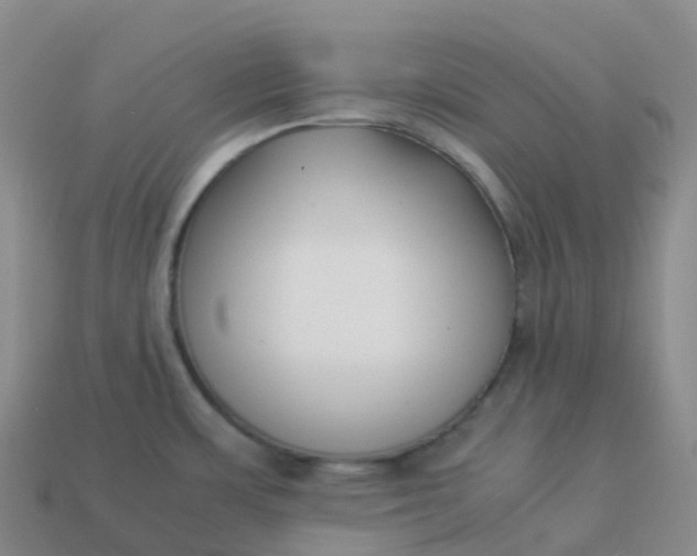 X0000113911483200910081839