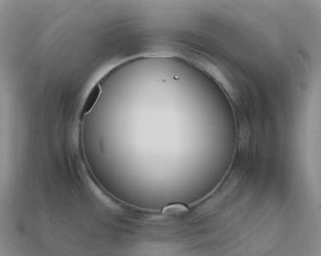 X0000113911484200910081839