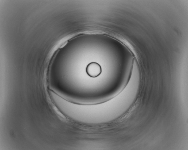 X0000113911485200910081839