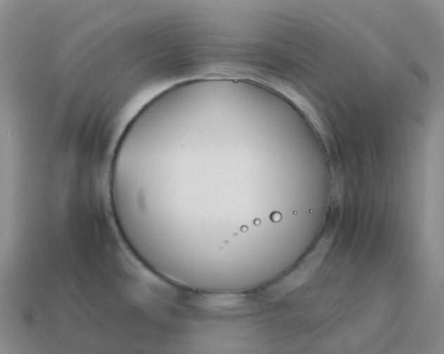 X0000113911486200910081839