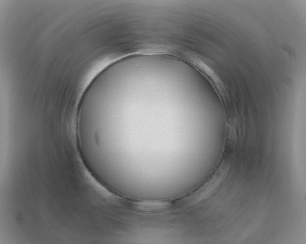 X0000113911487200910081839