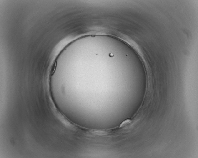 X0000113911488200910081839