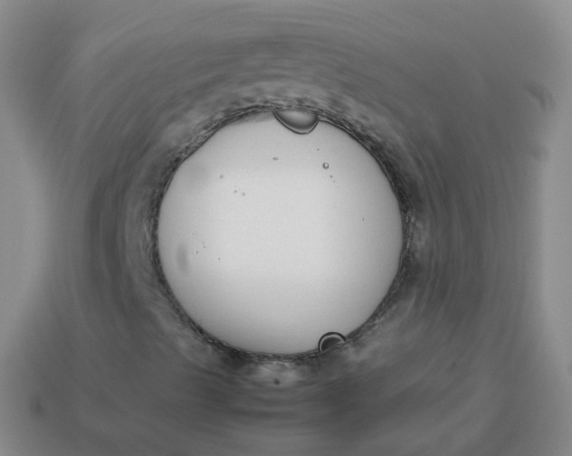 X0000113911489200910081839