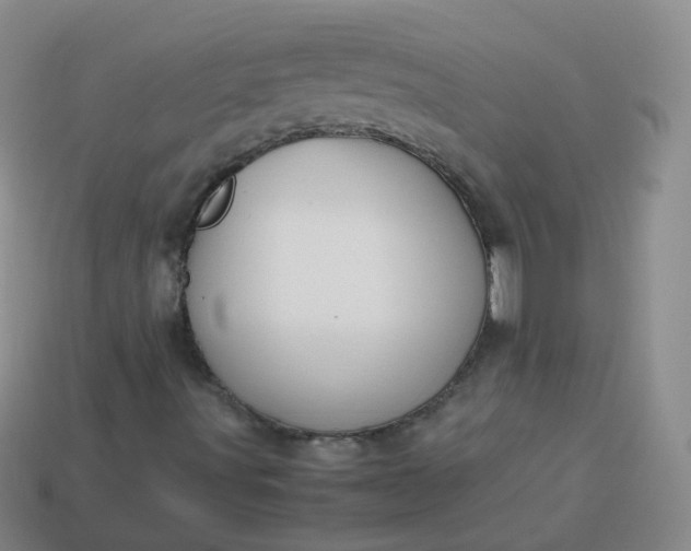 X0000113911491200910081839