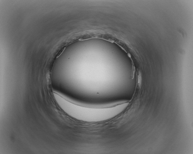 X0000113911492200910081839