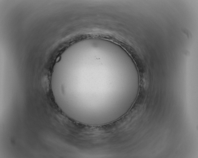 X0000113911493200910081839