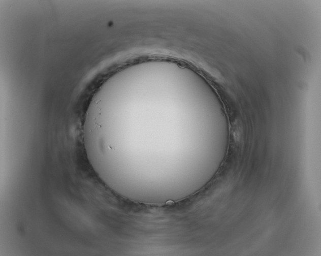 X0000113911495200910081839